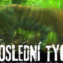 Poslední tygr v Pacově