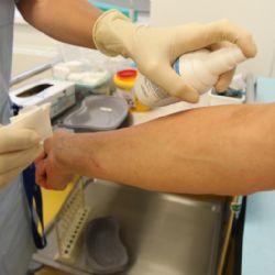 Pozor na včely, přibývá bodnutí, zaznamenali v jihlavské nemocnici