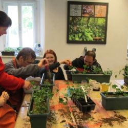 Prázdninová nabídka Klubu Lebeda