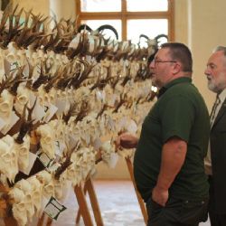 Přehlídka na jihlavské radnici ukazuje raritní trofeje