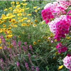 Přírodní zahrady v Novém Městě na Moravě