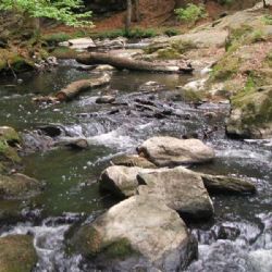 Přístup do údolí Doubravy omezí rekonstrukce naučné stezky