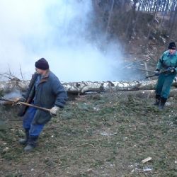 Projekt Za prací do lesa se ve Fokusu naplnil