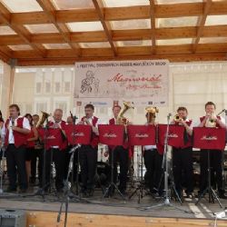 První ročník festivalu Dechových hudeb zaplnil Havlíčkovo náměstí v Brodě