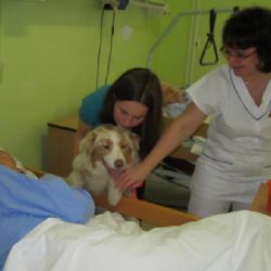 Psi docházejí nejen na dětské oddělení brodské nemocnice