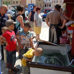 Pstruhová farma z Břevnice na Koudelově talíři v Brodě