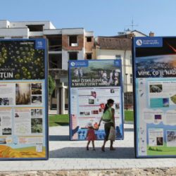 Putovní výstava Umění vědy v září v Jihlavě