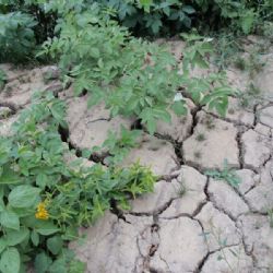 Radnice v Havlíčkově Brodě vyzývá - šetřete vodou, je jí nedostatek