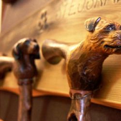 Radnice v Jihlavě pořádá přehlídku trofejí