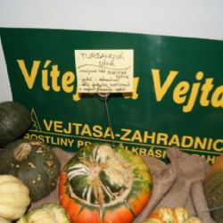 Ráj dýní je k vidění i ochutnání v Jaroměřicích