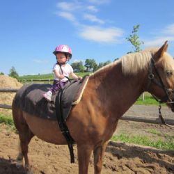 Raná péče v sedle