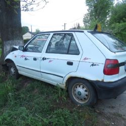 Řidička zemřela po nárazu do sloupu v Radkově