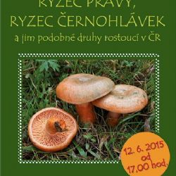 Ryzce představí v jihlavském muzeu