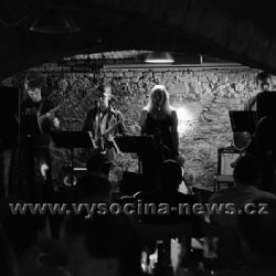 Selegrio v Nádražní 43