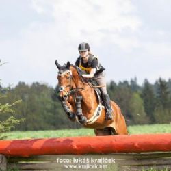 Seriál závodů Zlatá podkova 2014