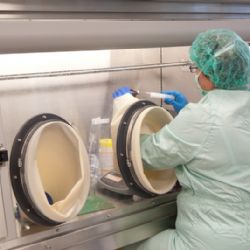 Šestým rokem připravují v lékárně jihlavské nemocnice léky na rakovinu