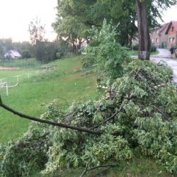 Silný vítr láme na Vysočině stromy, hasiči zasahují