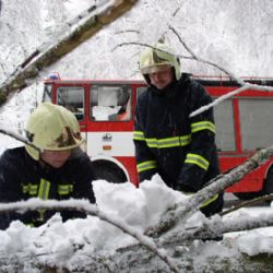 Silný vítr znovu trápí Vysočinu, hasiči zasahují