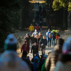 Silvestrovský výstup na Javořici