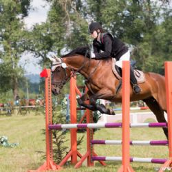 Skokový pohár Vysočiny 2015 pokračoval v Dešné