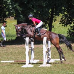 Skokový pohár Vysočiny v Brtnici