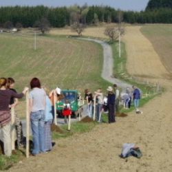 Školáci na Vysočině zasadí tři desítky stromů