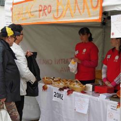 Sladké koláče podpořily v Jihlavě péči o nevyléčitelně nemocné skrze