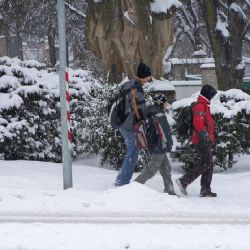 Na Vysočinu se vrací mrazivé počasí 