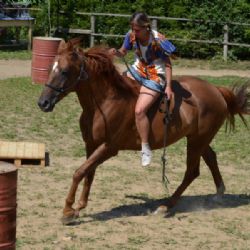 Sobotní odpoledne s koňmi si užili děti i dospělí