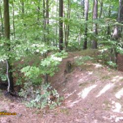 Sokolovec – bývalý hrad u Bílku, který býval sídlem loupeživých rytířů