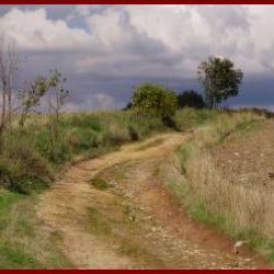 Soutěž Photographia natura 2014 po jedenácté