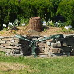 Speciální škola ve Velké Bíteši má nový speciální záhon i pro hendikepované