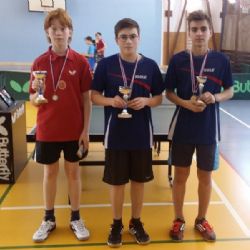 Starší žáci v Polné: Švihálek, Karel a Navrkal