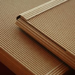 Studenti z Brodu dají památkám novou fasádu z vlnité lepenky