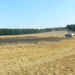 Sucho trápí i Vysočinu. Herálec musí vodu dovážet v cisternách
