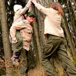 Světlušky a skautky v Třebíči čistí ptačí budky