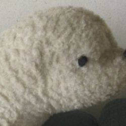 Tereza Límanová se představí v Brodě U Notáře