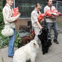 Třebíčské Sasanky opět pomohly Útulku pro opuštěná zvířata