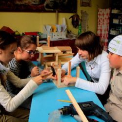 Třebíčské skautky pomáhají ptáčkům