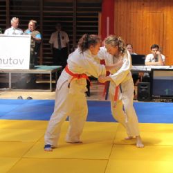 Třebíčští judisté o víkendu o body a medaile