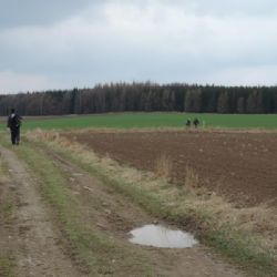 Turisté se vydali Jarní Vysočinou