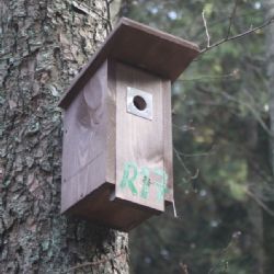 Úklid v ptačích budkách na Vysočině vrcholí