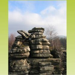 Uzávěrka fotosoutěže Photographia Natura se blíží