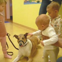 V brodské nemocnici se snaží dětem zpříjemnit pobyt