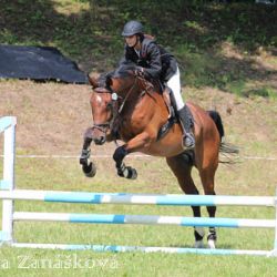 V Brtnici se závodilo na větším kolbišti