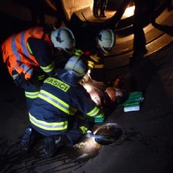 V Dalešicích cvičně zachraňovali zraněného