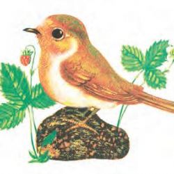 V Dolních Dubňanech pokřtí knihu Jako když mávne motýlím křídlem