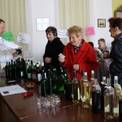 V Jaroměřicích nad Rokytnou ochutnávali moravská vína