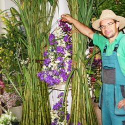 V Jaroměřicích rozkvetlo léto v zahradnictví u Vejtasů