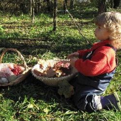 V Jeníkově a Chotěboři představí lesní školku